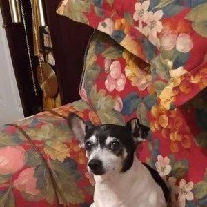 Meet your Posher, Janice